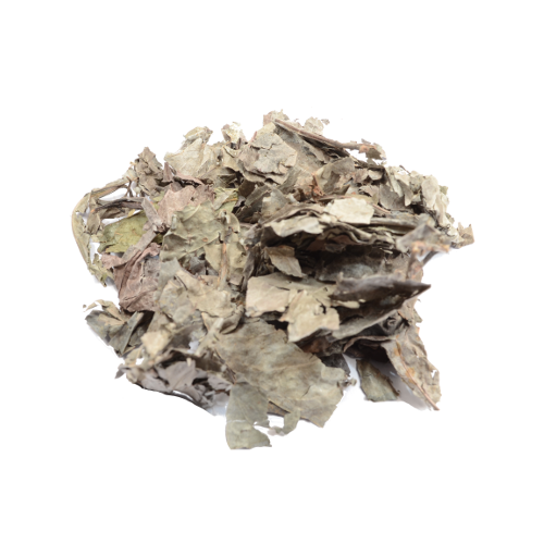 Psychotria carthagenensis (Amyruca) 25 grams dried leaves